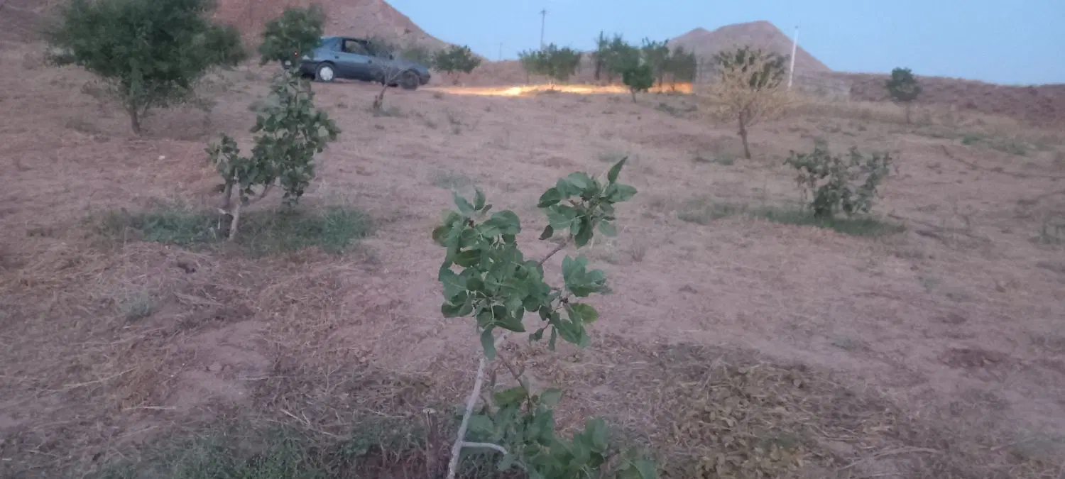 فروش باغ و زمین ومعاوضه