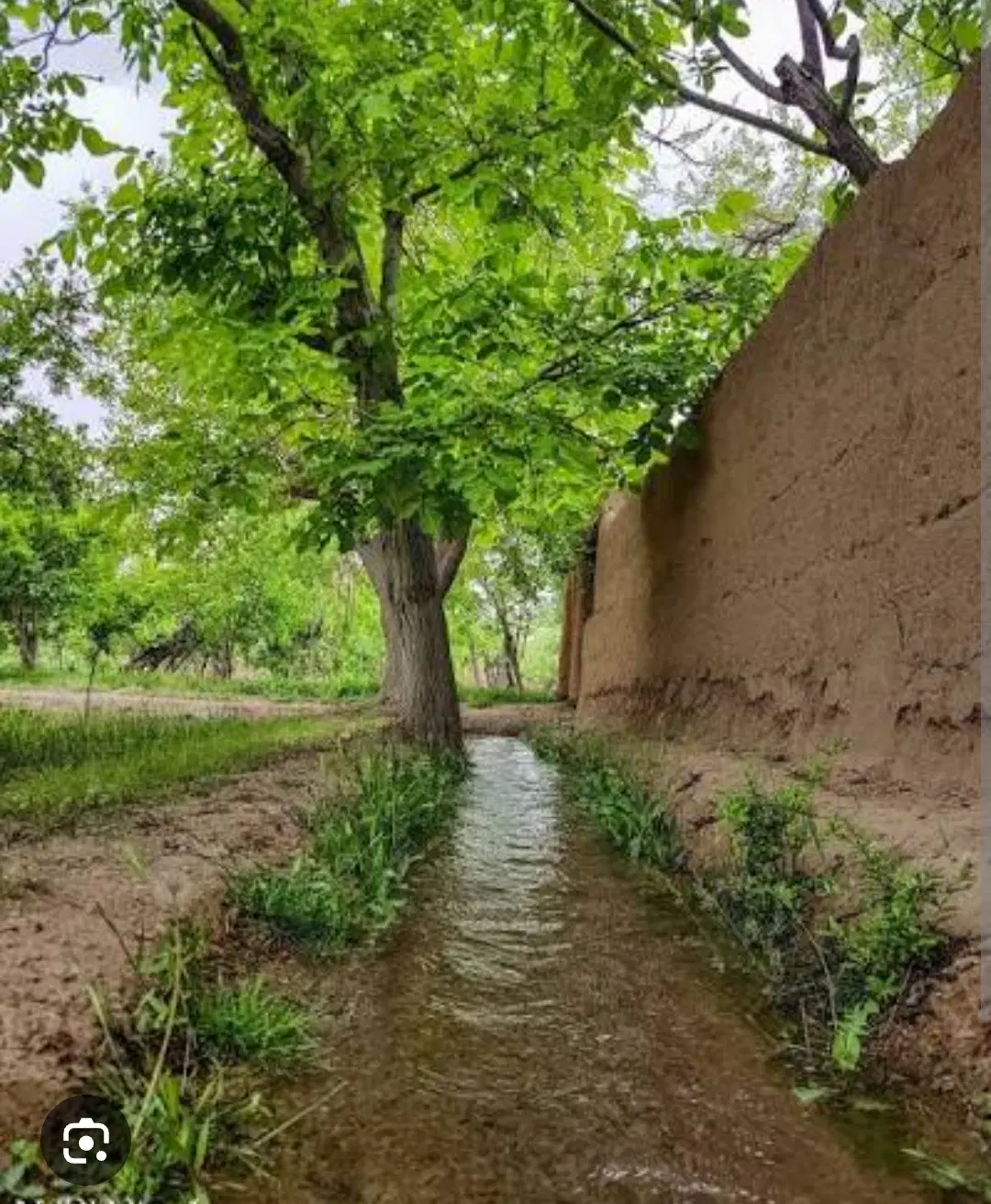 فروش زمین دیمی مناسب برای باغ