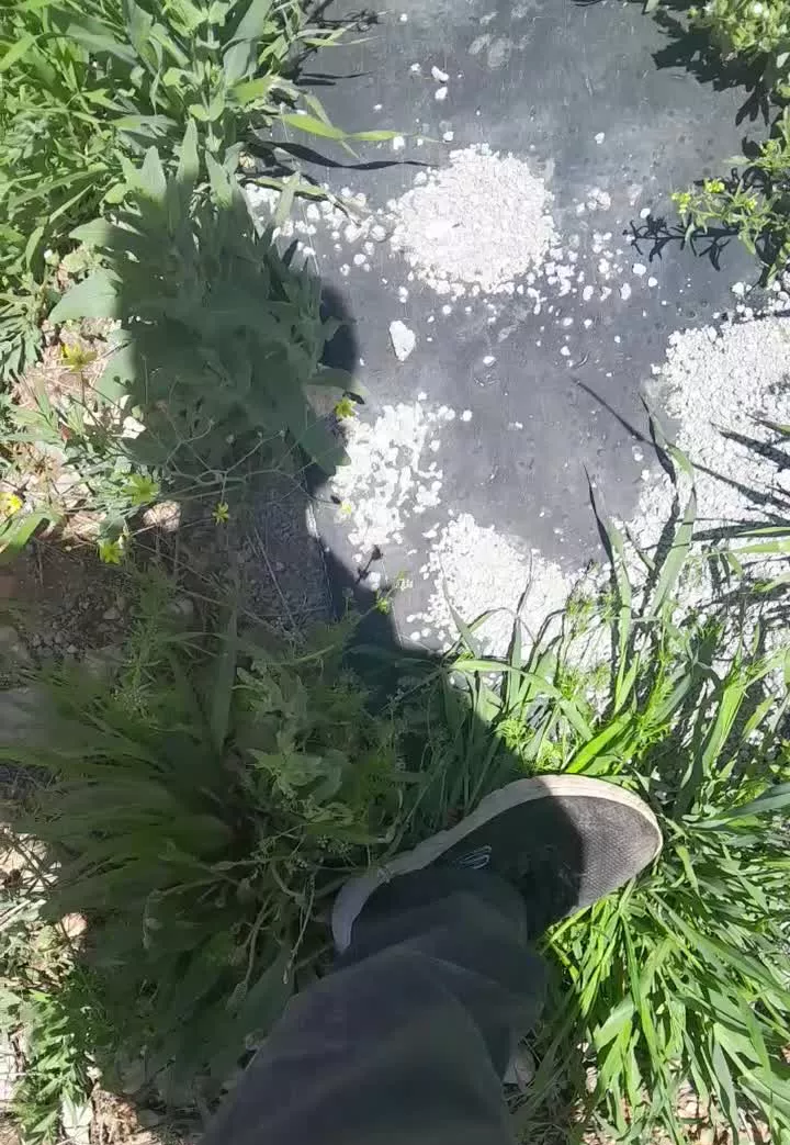 فروش ویلا و خونه باغ