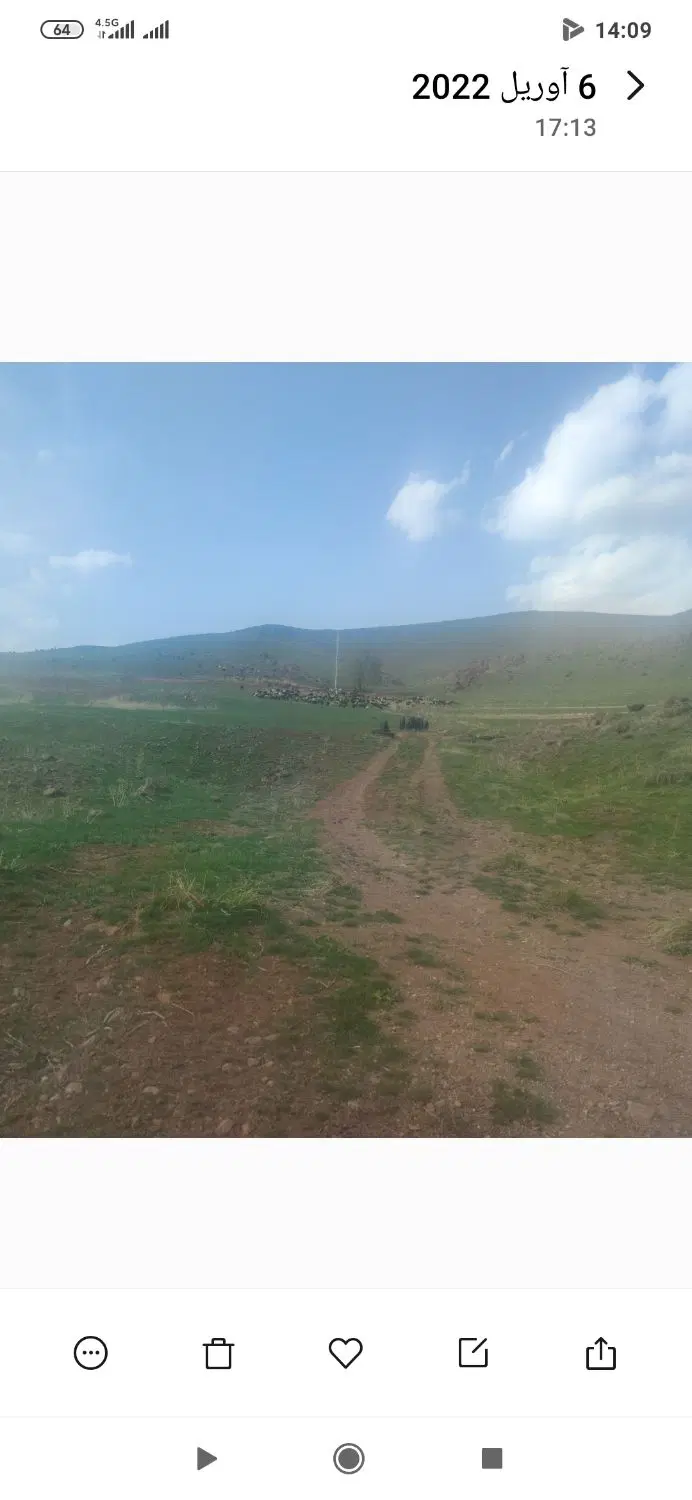 زمین کشاورزی سند دار