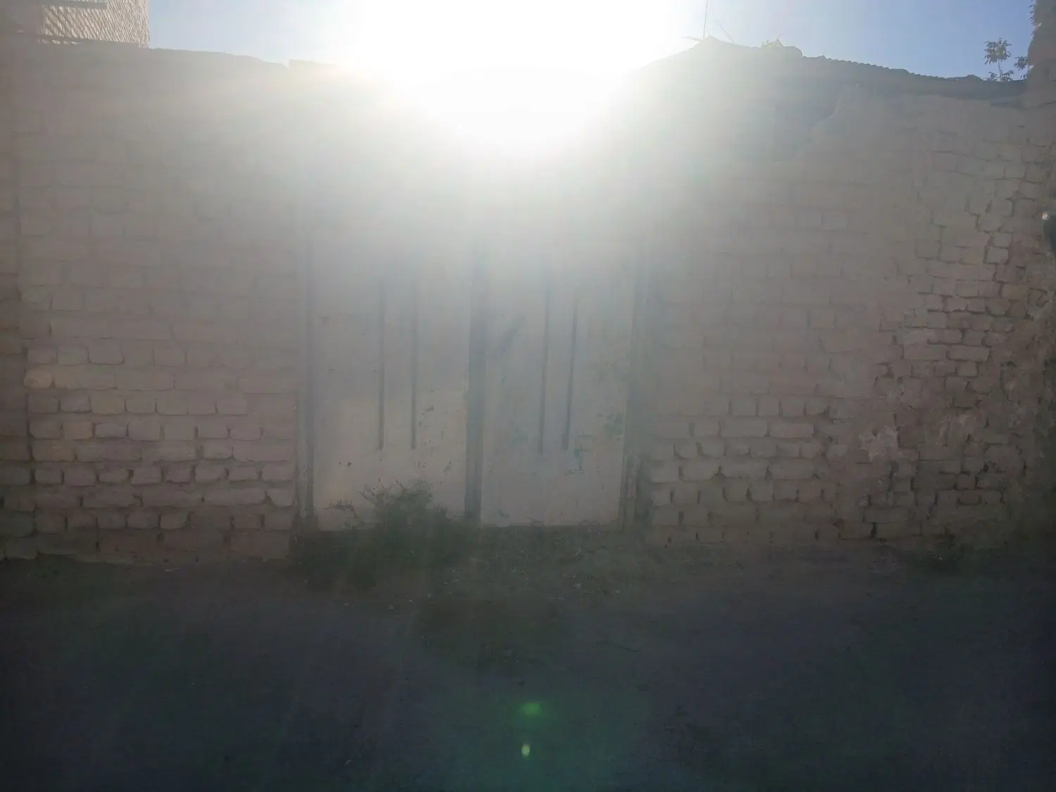 زمین