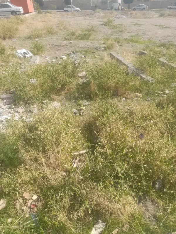 زمین جوانب جمعیت ۳ فرزندی