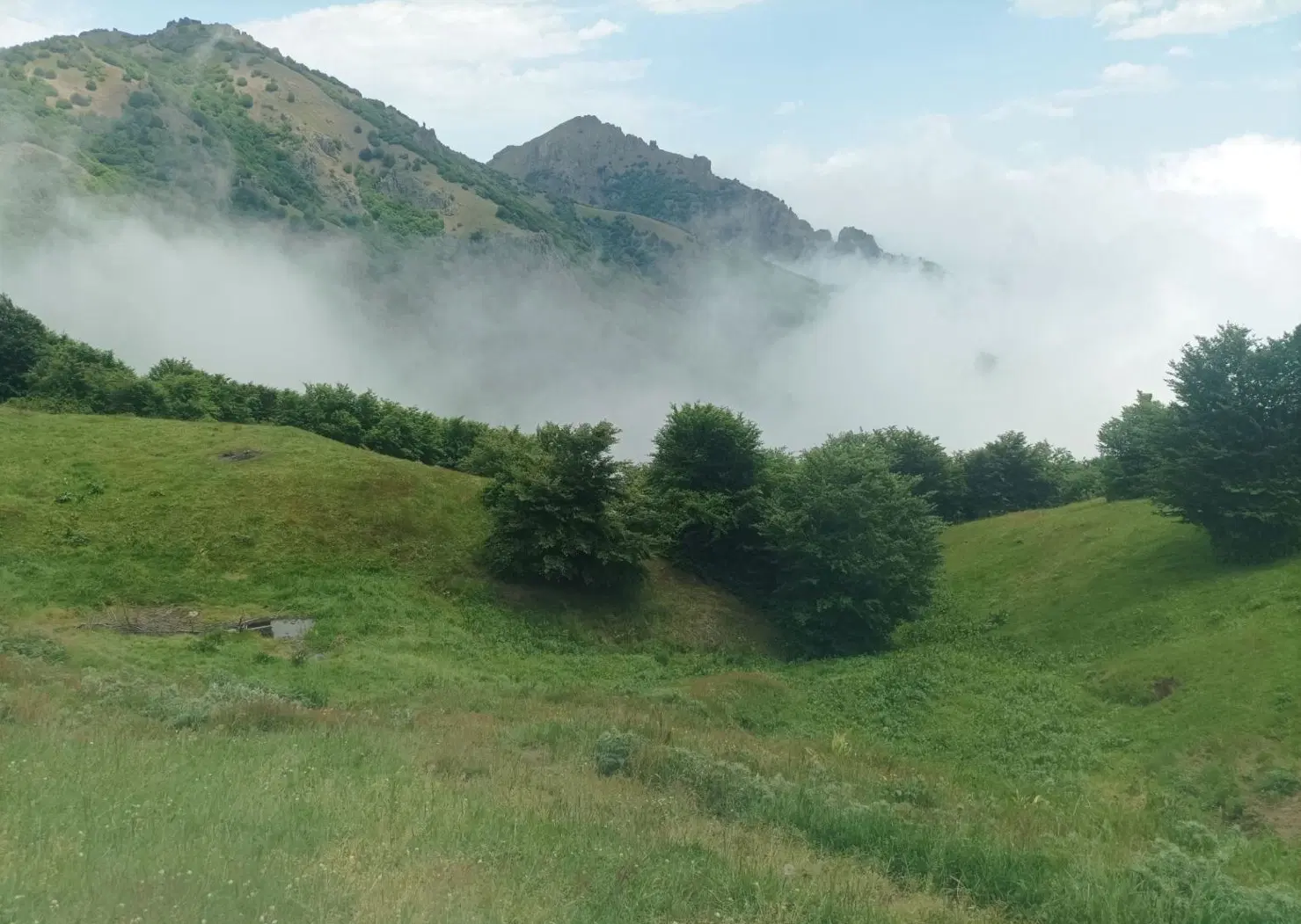 زمین مناسب سرمایه گذاری در صنعت طیور