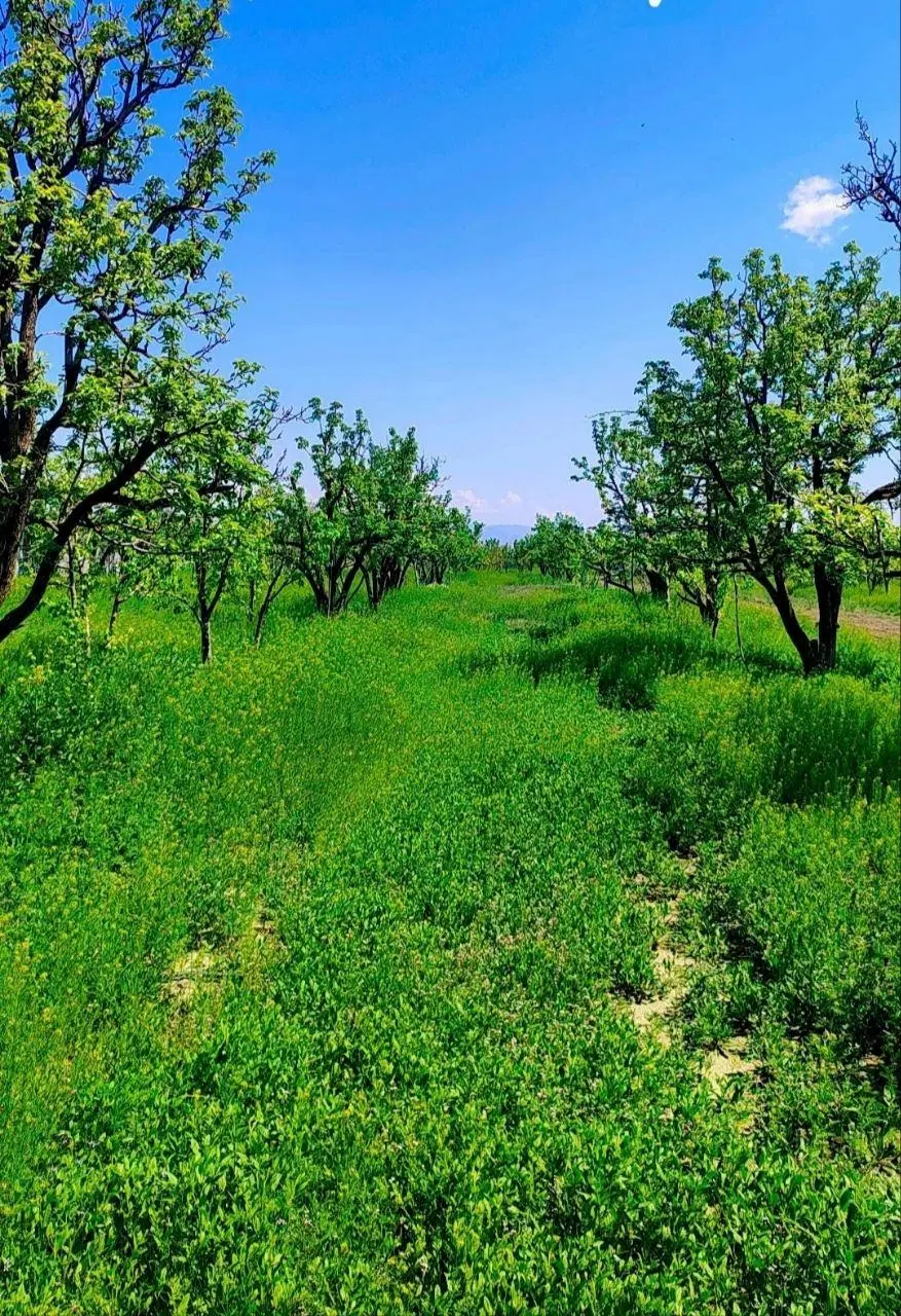 دهکده خورشید، ۴۰۰ متر، دور دیوار، آب مدار