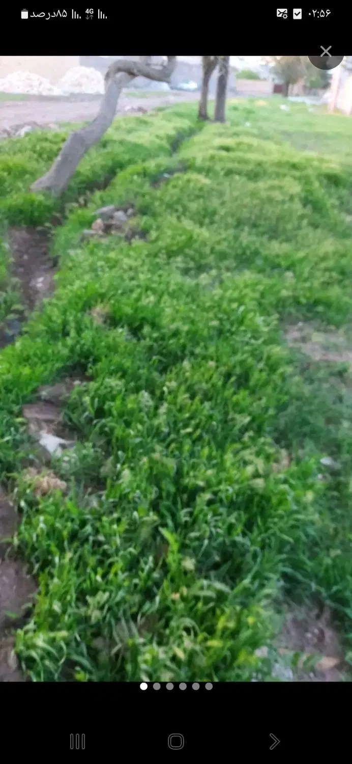 زمین چهار دیواری ۲۰۰۰متر