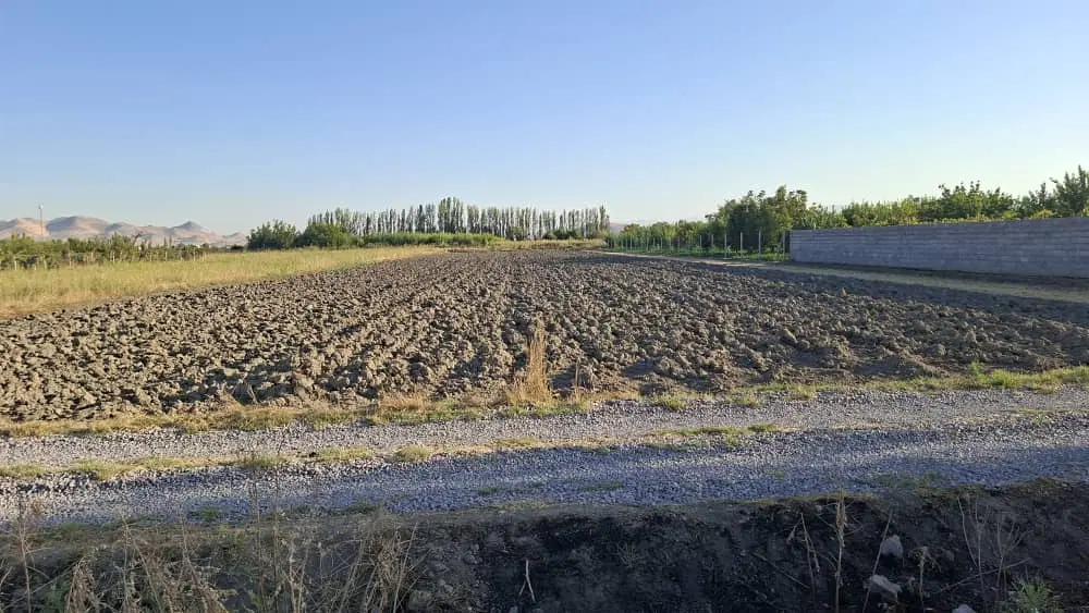زمین گلخانه روستای یورقون آباد