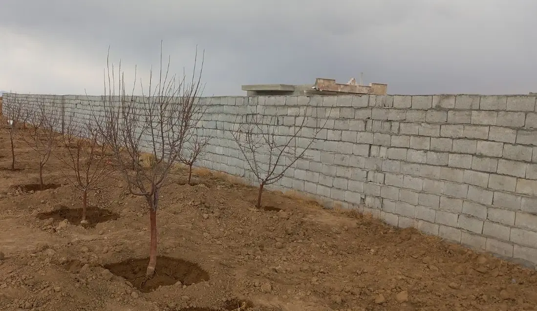 زمین باغی مراد اباد ۵۰۰متر. نقد و چک