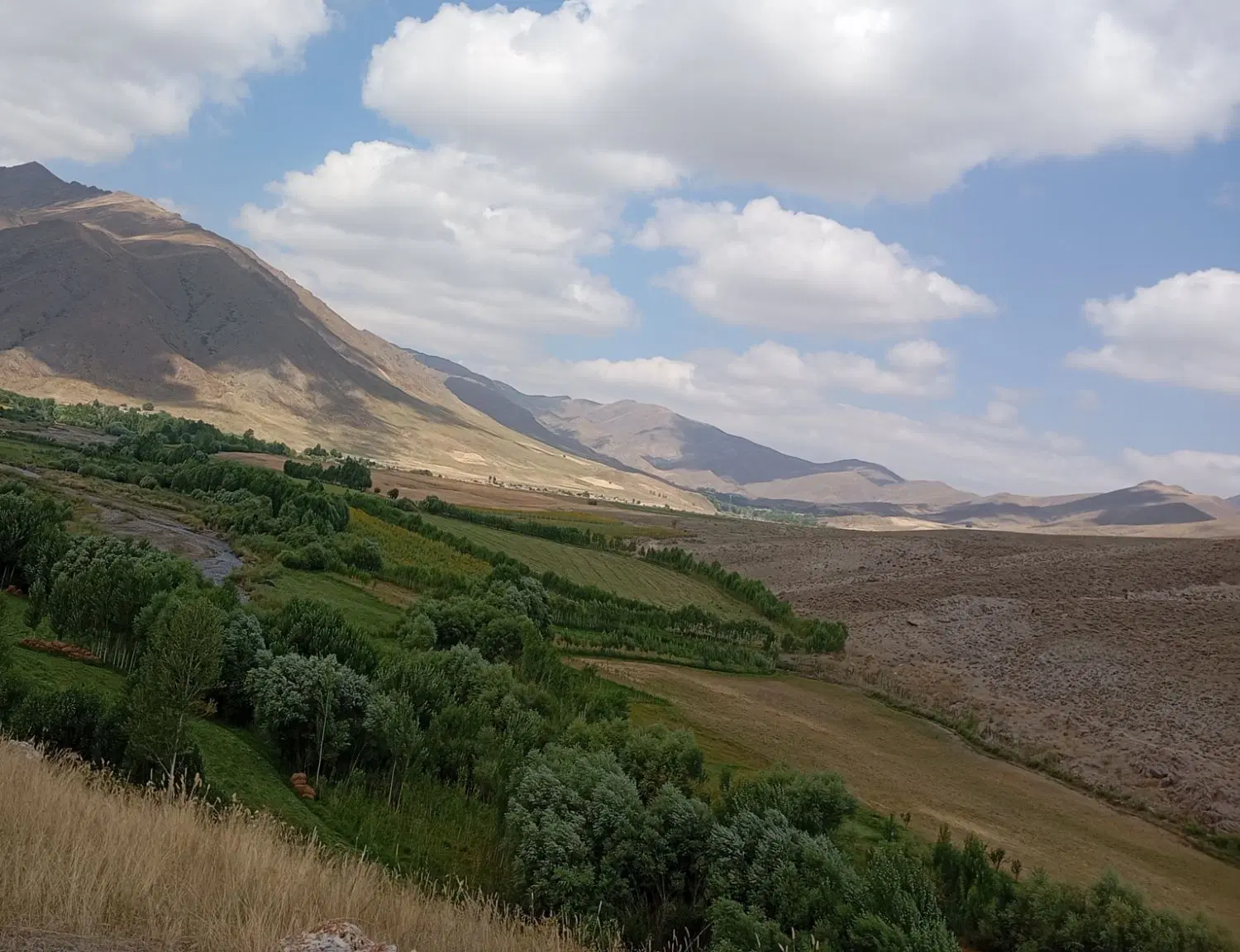 زمین در بادکی ناصر آباد کوچه ۱۴متری