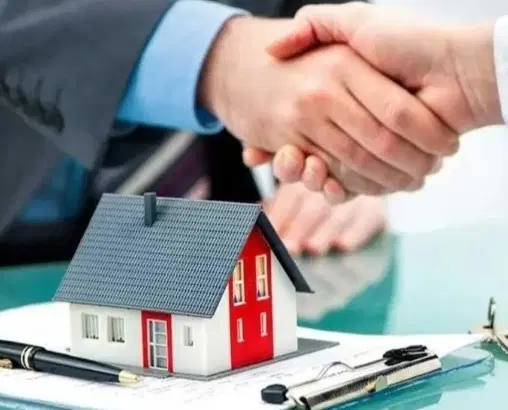 فروش روبه افتاب صفر مهارت جنوبی
