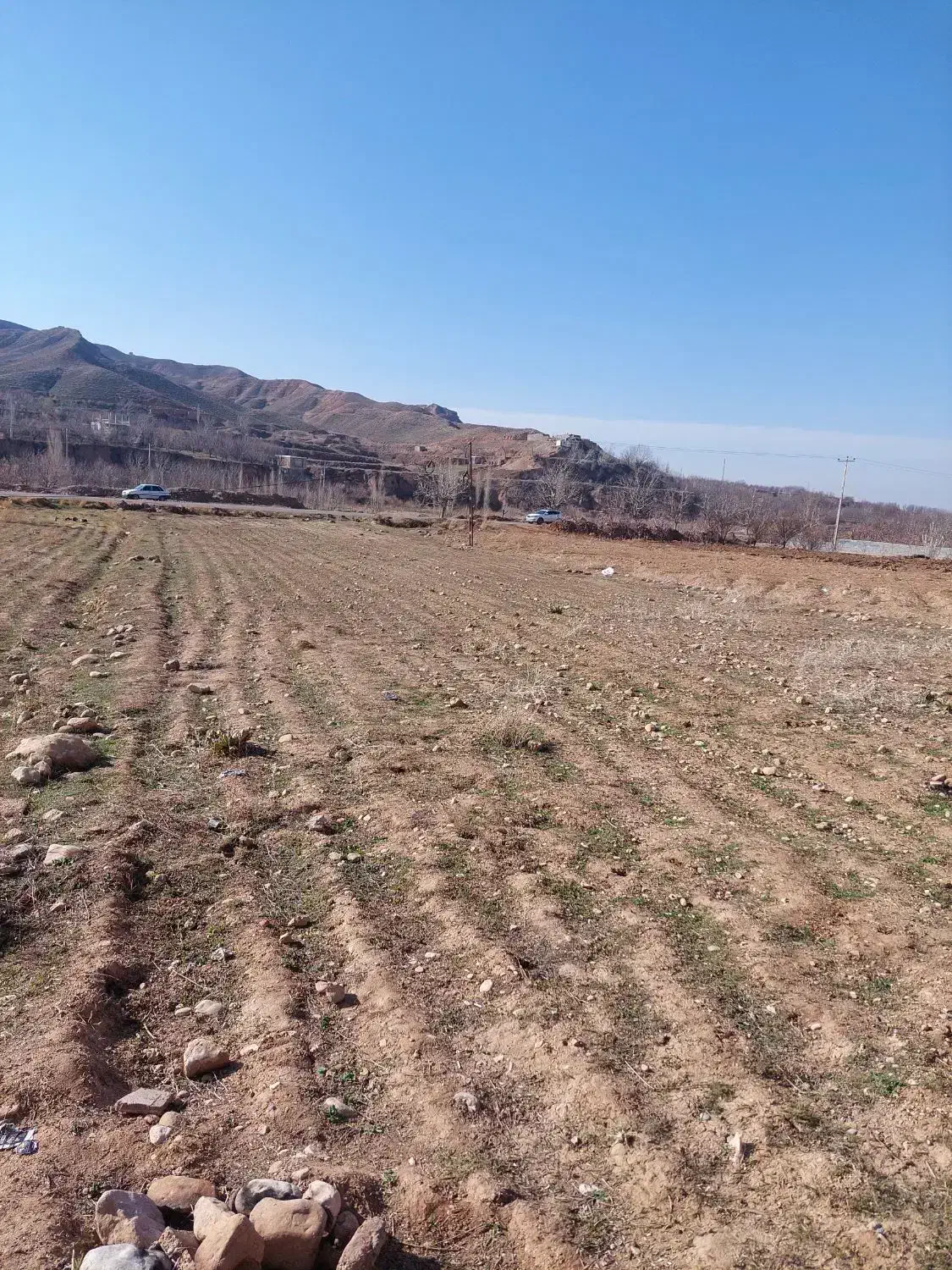 زمین کشاورزی حاشیه جاده