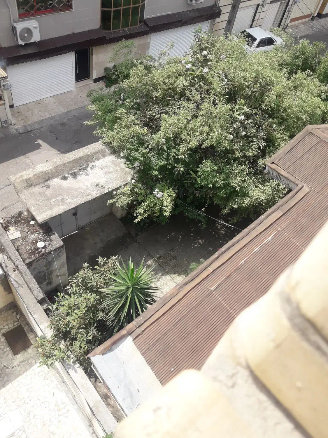 مشارکت یا معاوضه