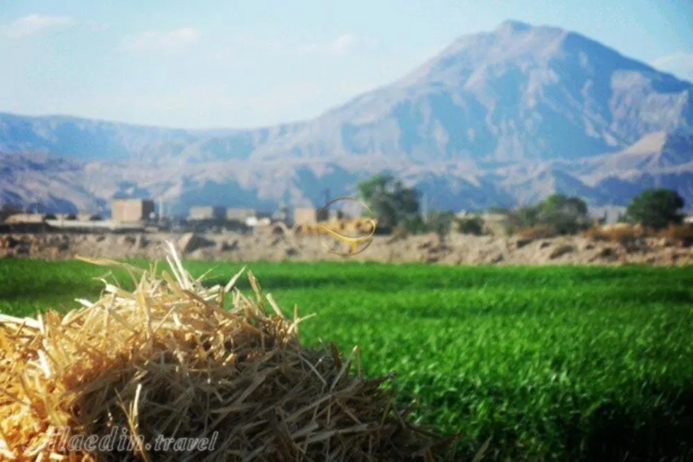 زمین فروشی اردهال