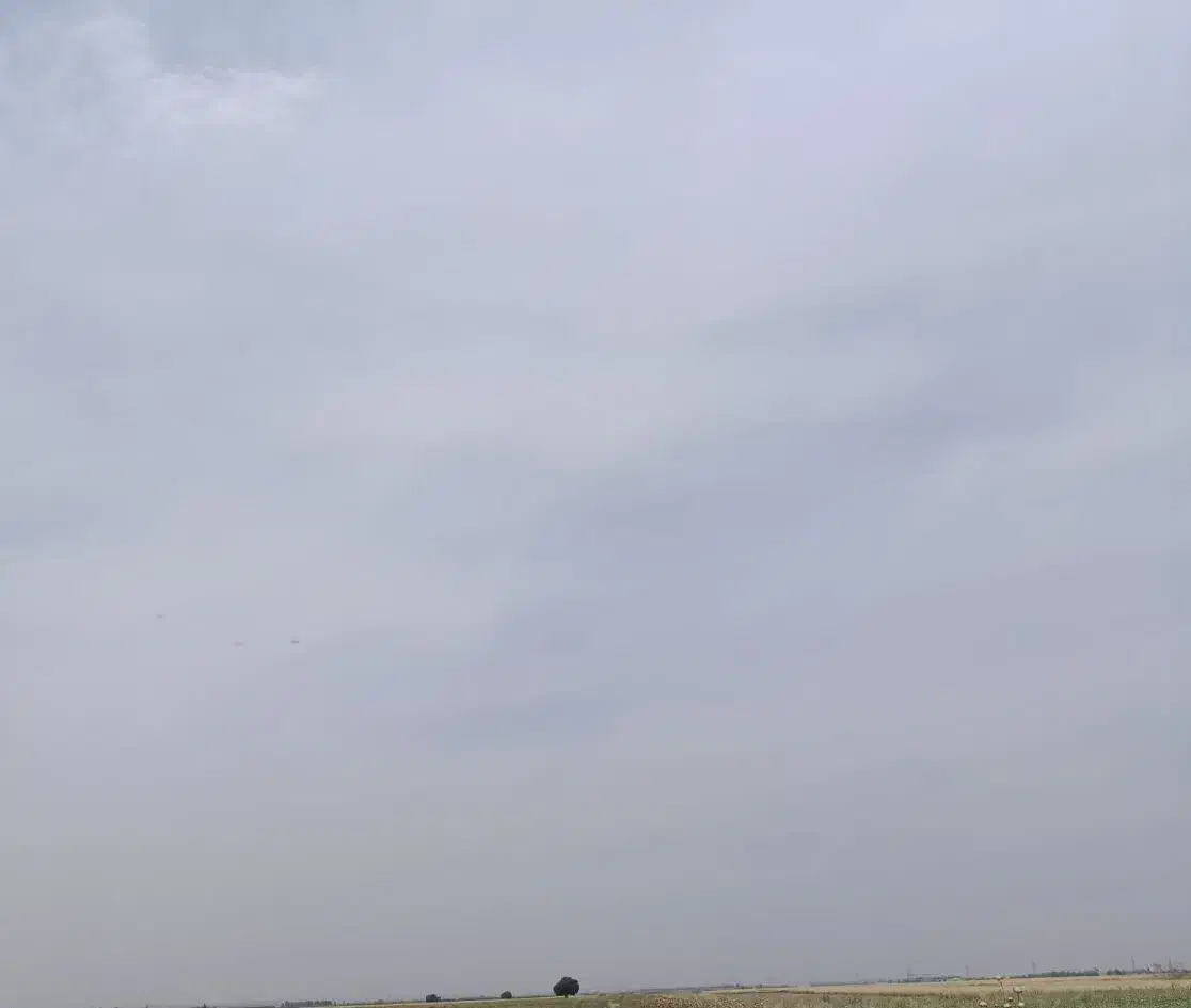 زمین کشاورزی باغی رامهرمز