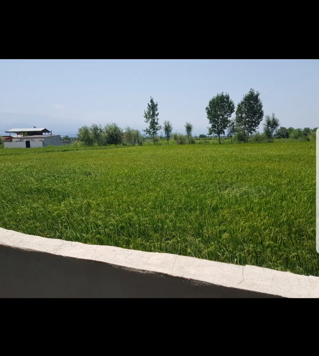 زمین مسکونی ، روستای جزن