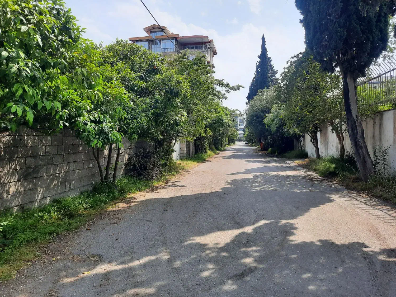 زمین ۲۲۷۸ متر ساحلی