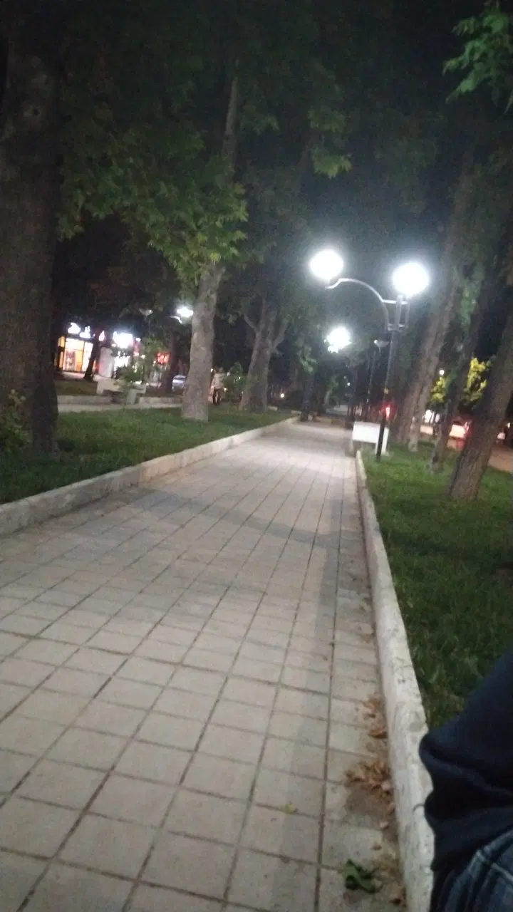 همخونه