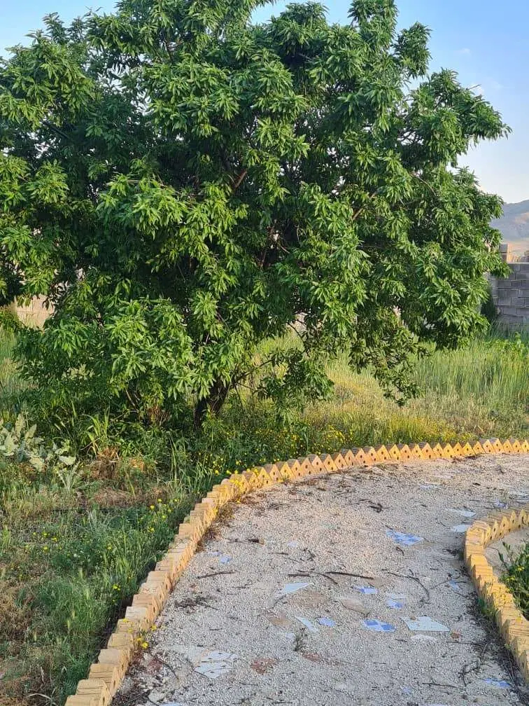 باغ شهری