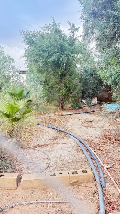 فروش زمین برومی