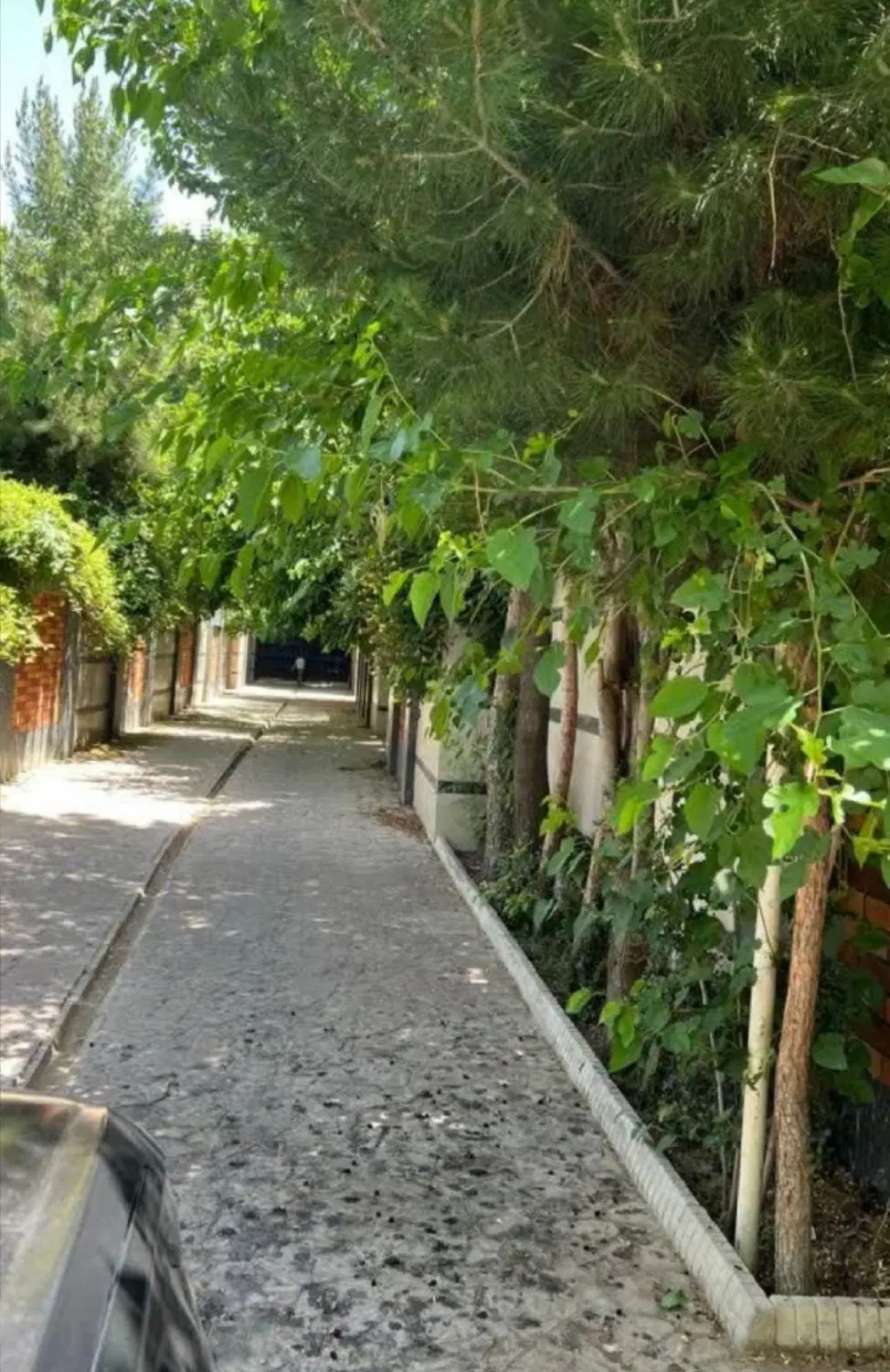 ویلایی بحر خیابان بانک ملی دو دهنه تجاری