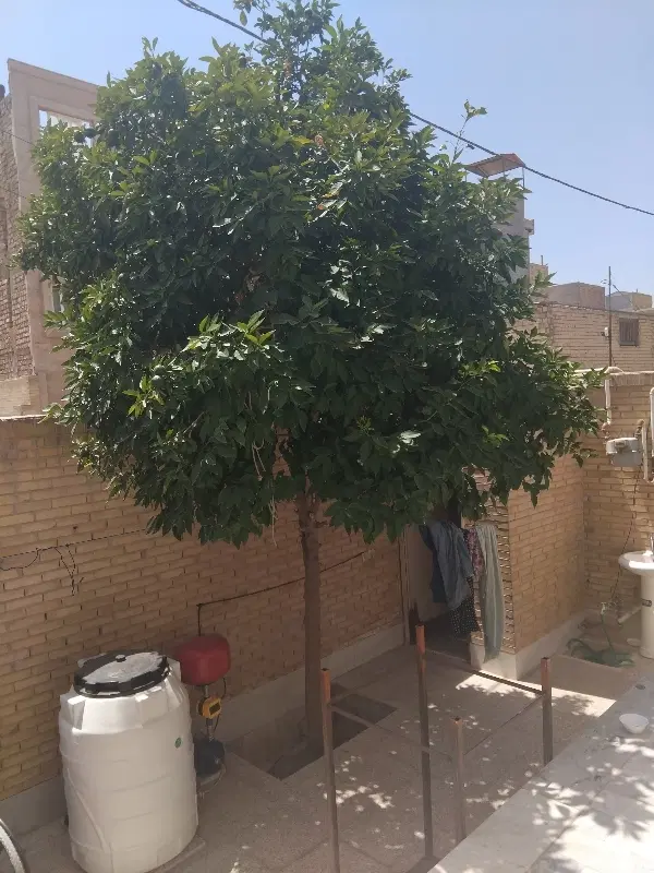 خونه قسطی بلوار مدرس شهرک بهاران