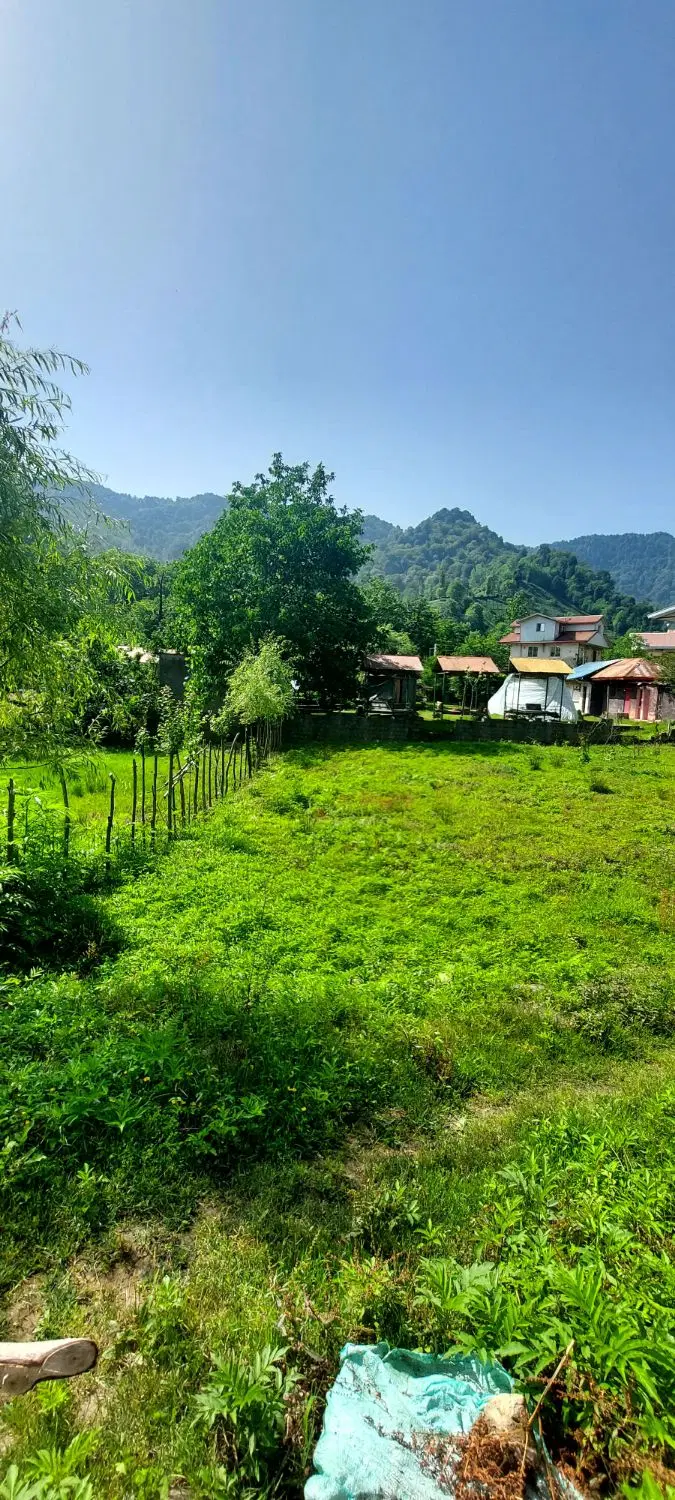 زمین فروشی