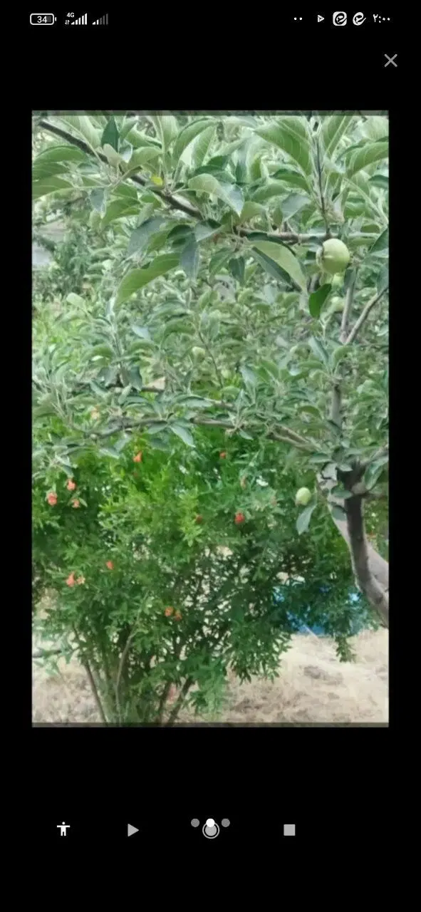 م عاوضه با اراک و مهاجران مسکونی