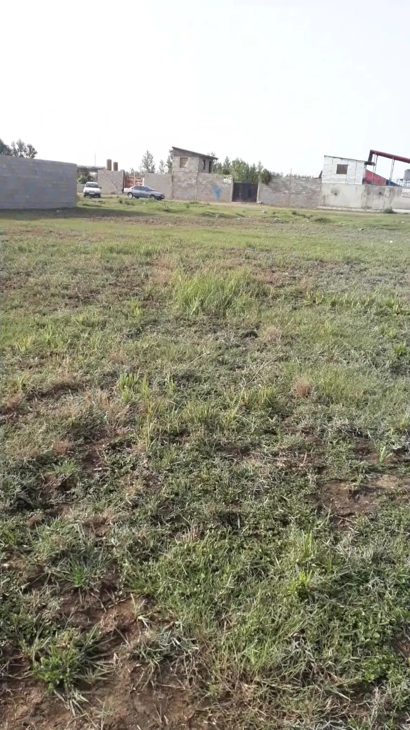 زمین ۶۹۶ متری پیلعلی باغ انزلی مناسب سرمایه گذارب