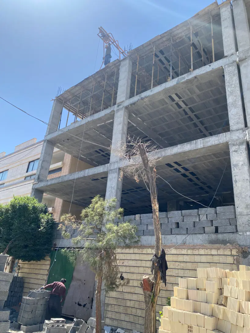 مجری ذیصلاح
