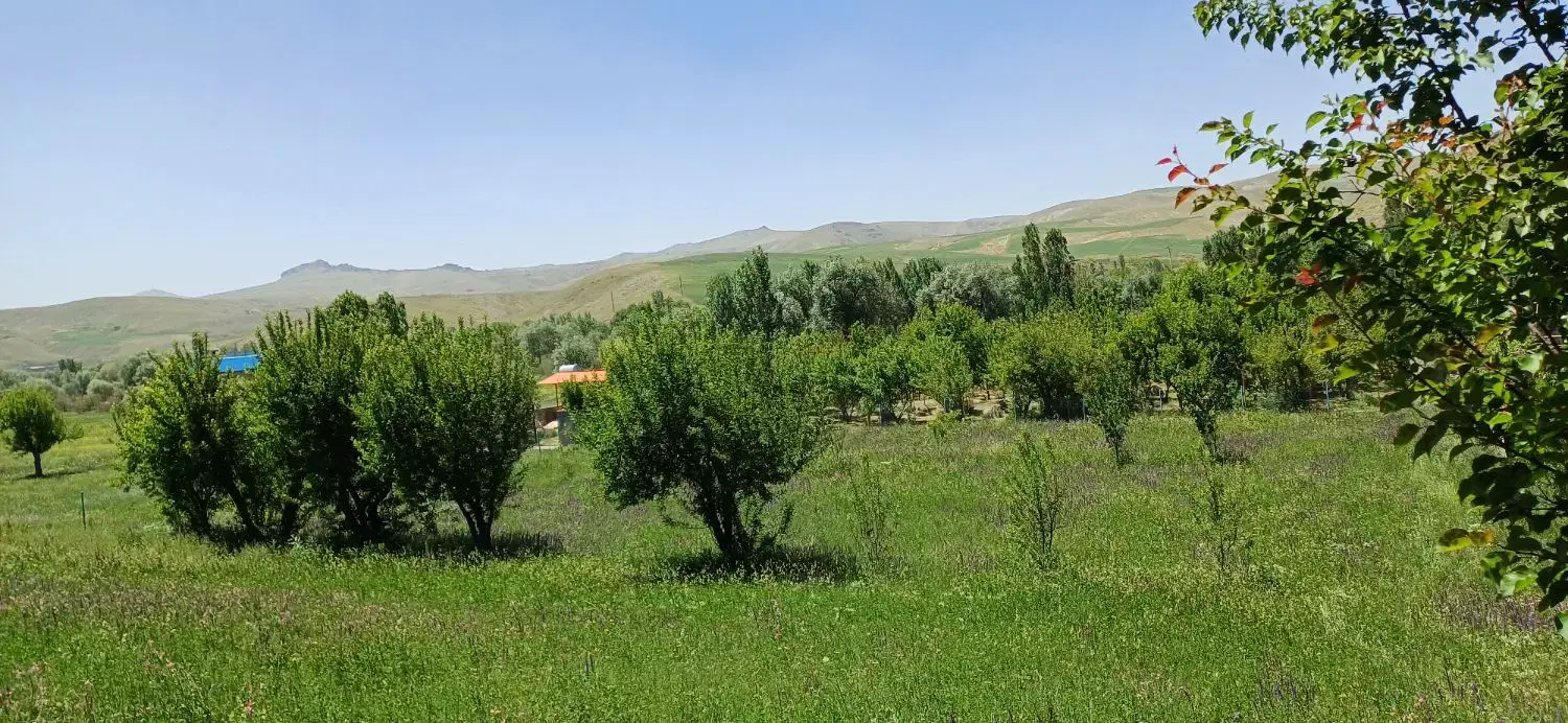 باغ بستان آباد