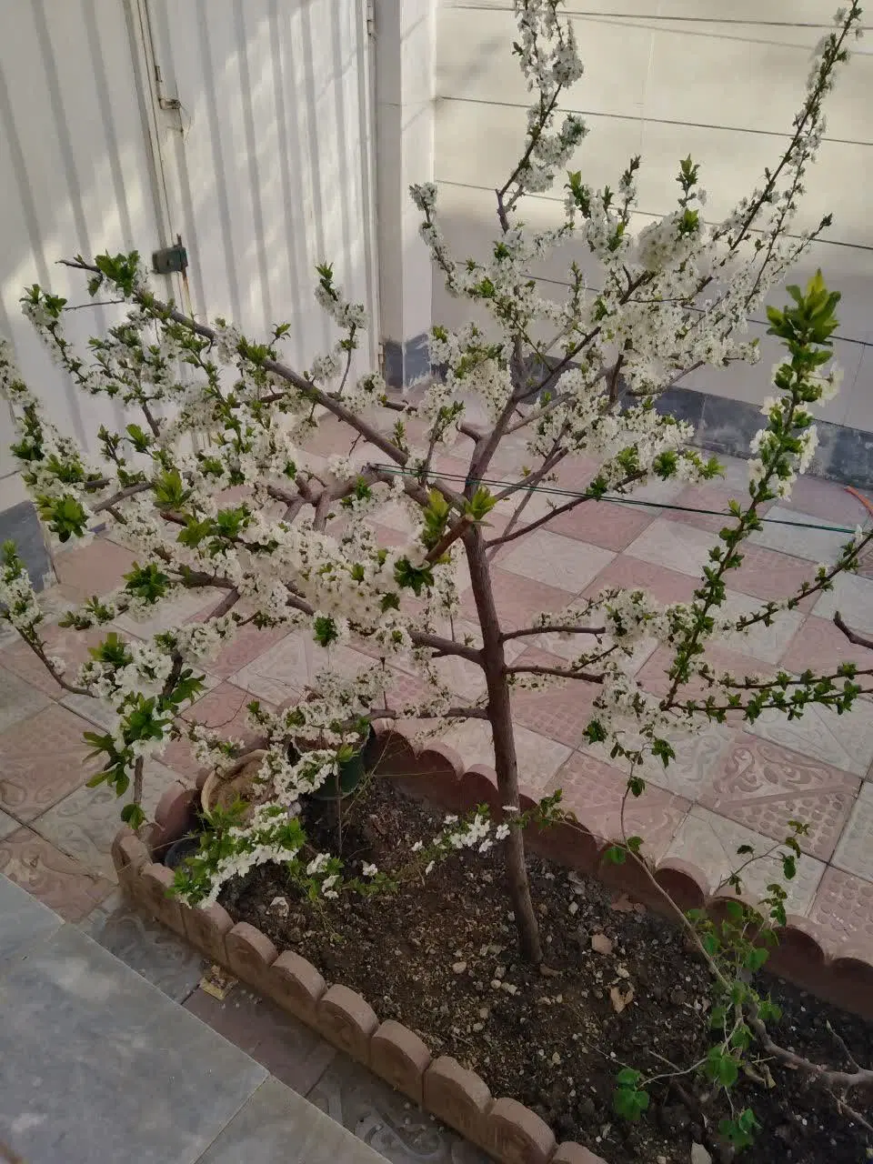 منزل ویلایی تک کلیده۱۸۳متری دوبر