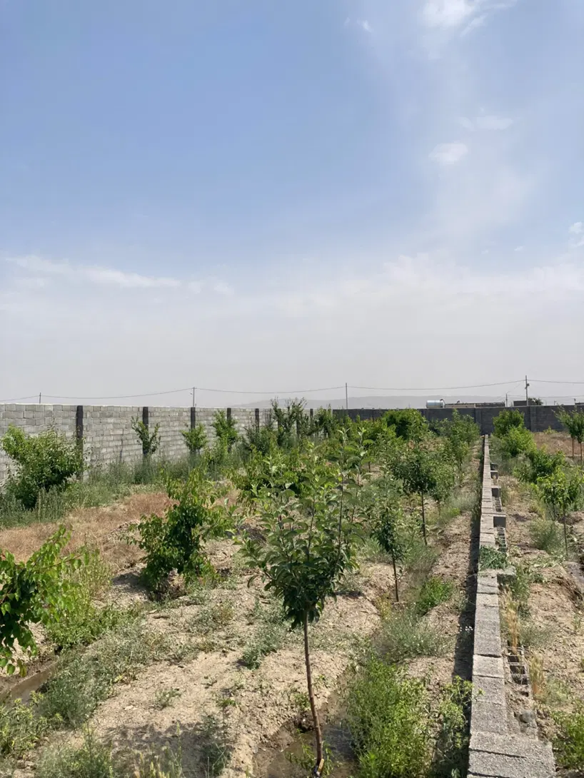 زمین باغی مجتمع نگارستان شرکت برق