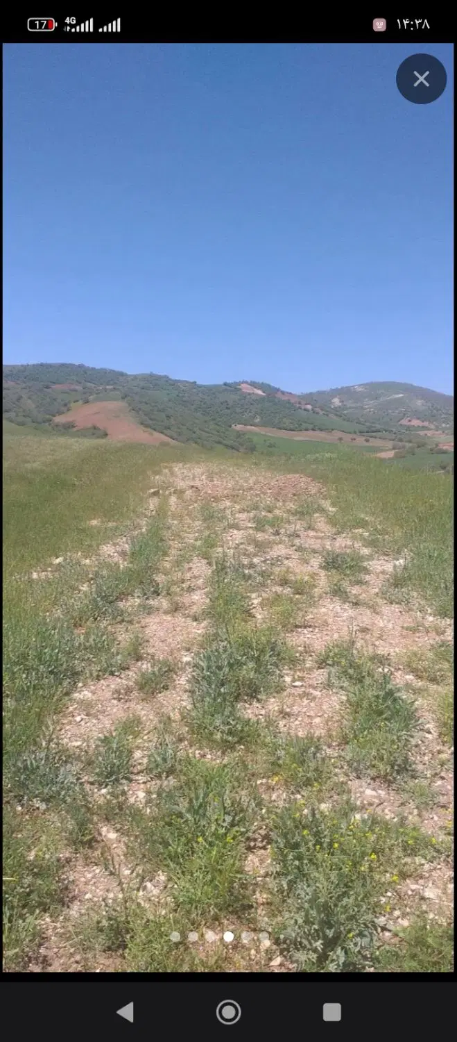 زمین یاره