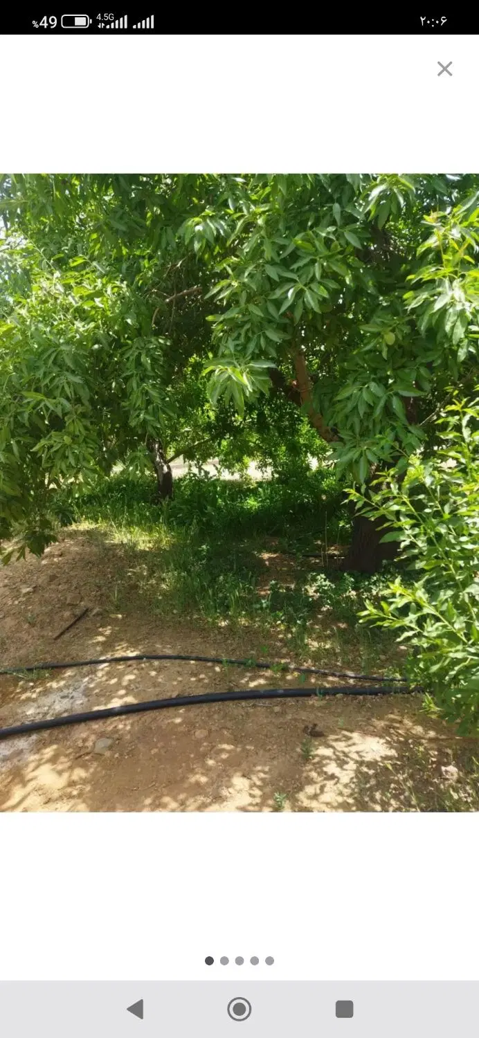 باغ بااتاقک و فنس سنددر نزدیکی رودخانه زاینده رود