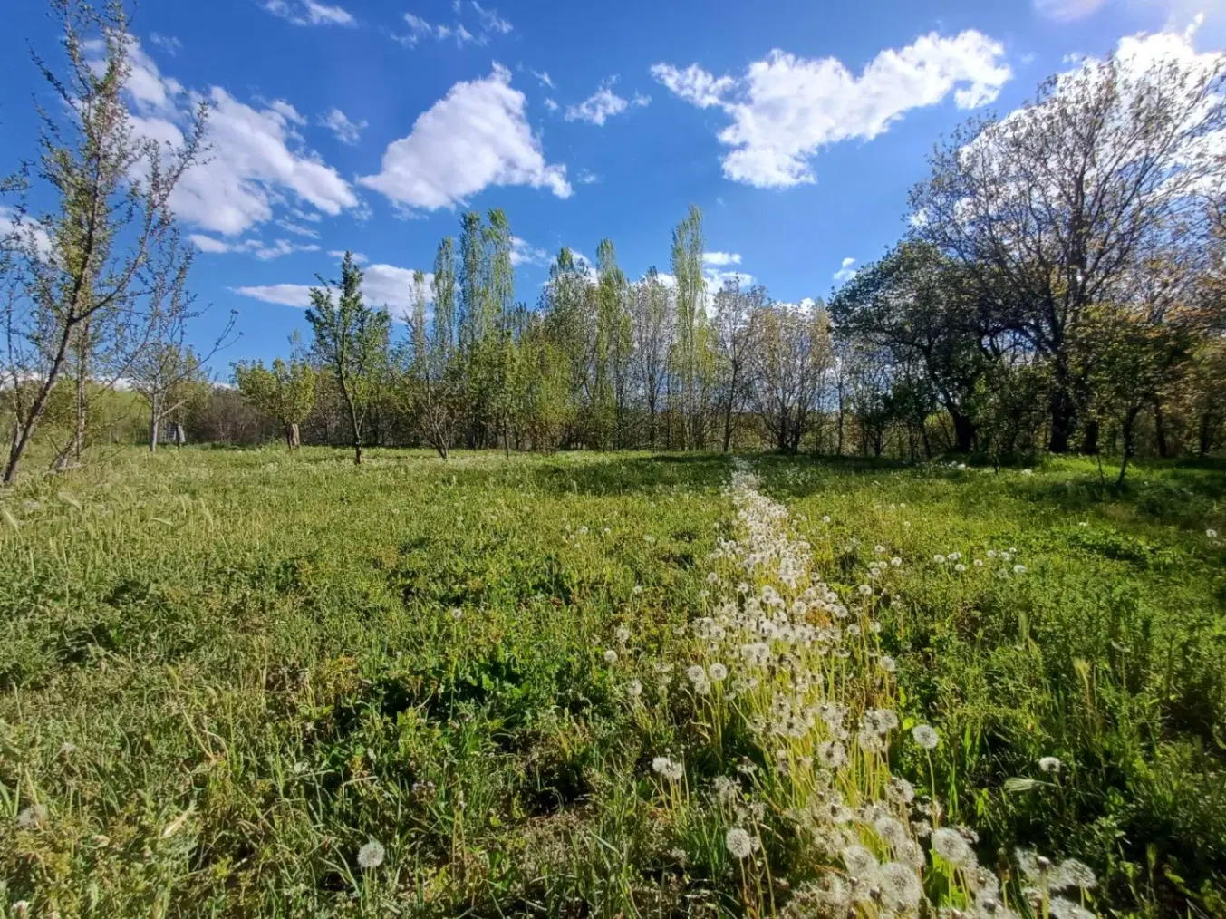 زمین 1000 متری روستای شهرستان