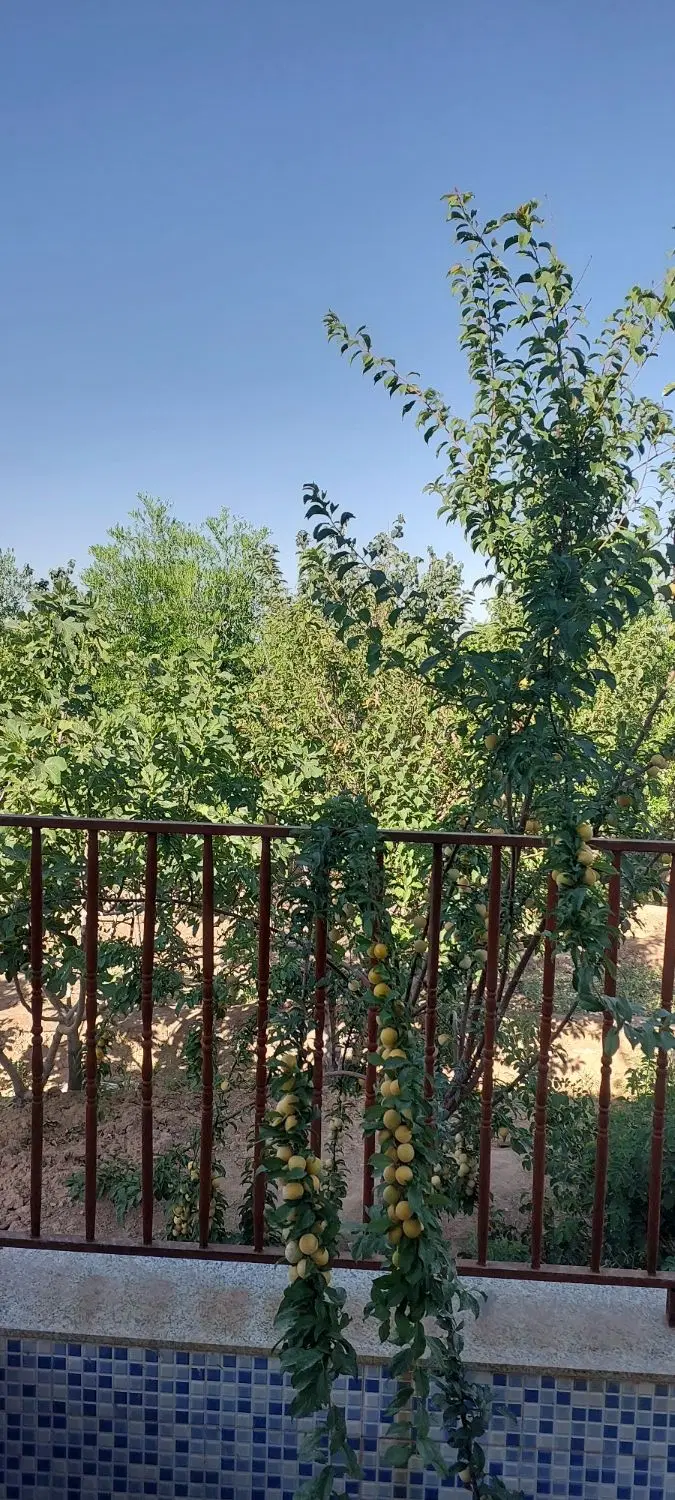 باغ ویلا  فخرآباد