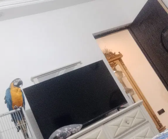همخونه میشم