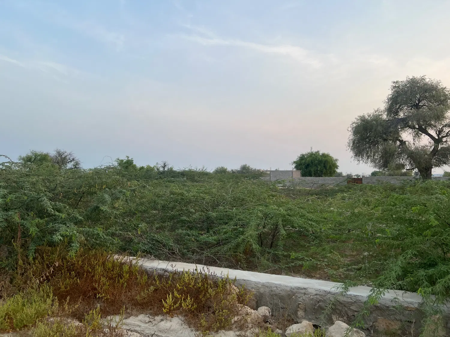 چند قطعه زمین با موقعیت عالی در روستای سهیلی قشم