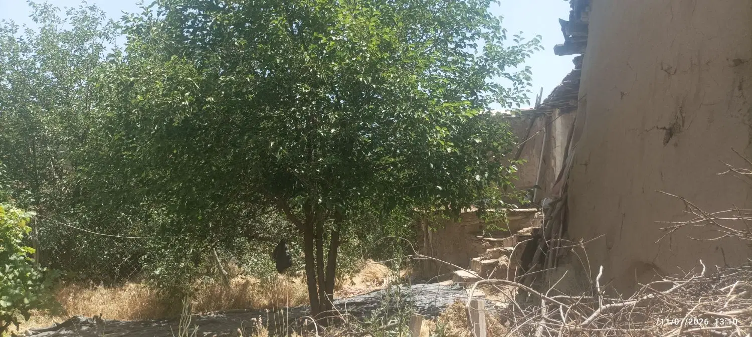 خونه باغ