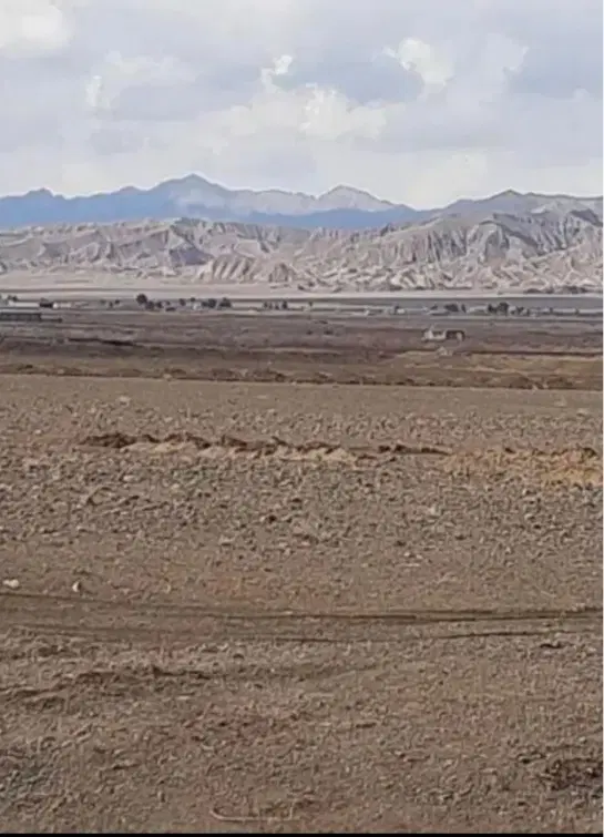 زمین مزروعی