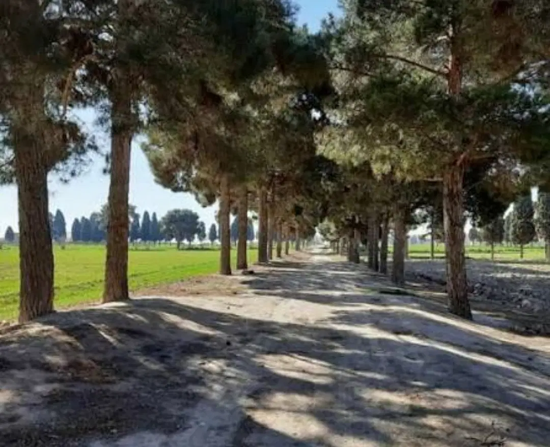 فروش دامداری