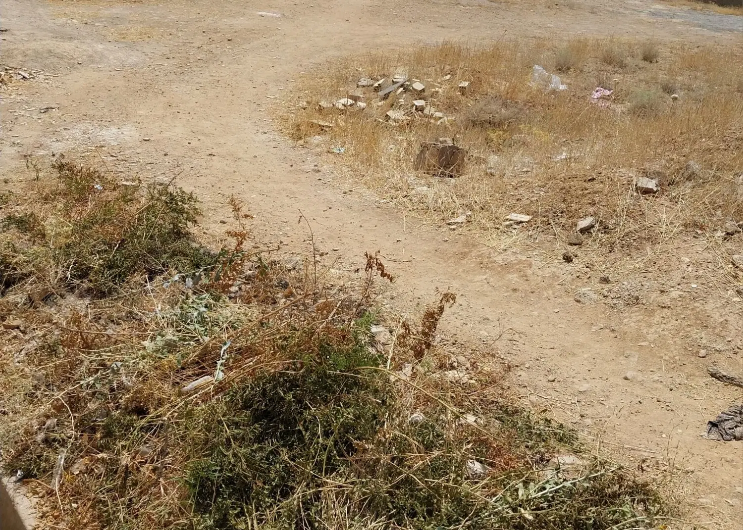 فروش زمین فاز دو صدرا