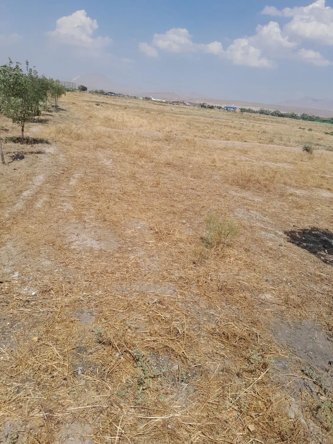زمین‌زراعی