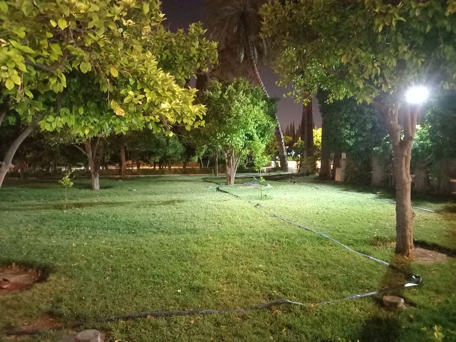 فروش زمین درزیارت