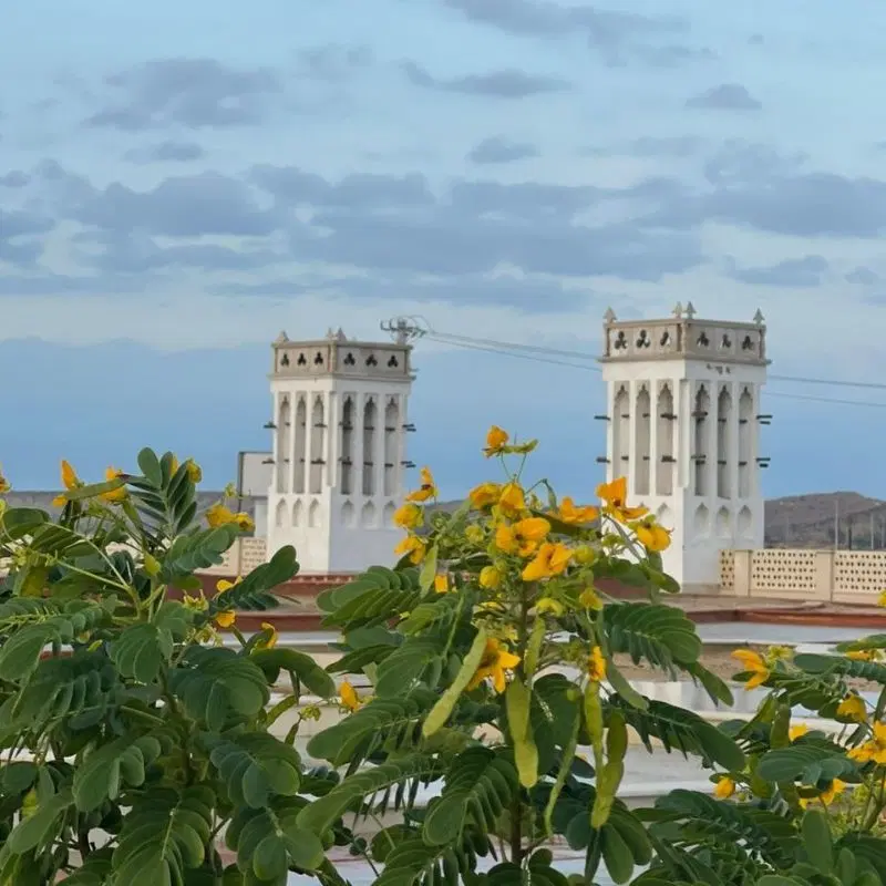 فروش زمین ...جزیره زیبای قشم