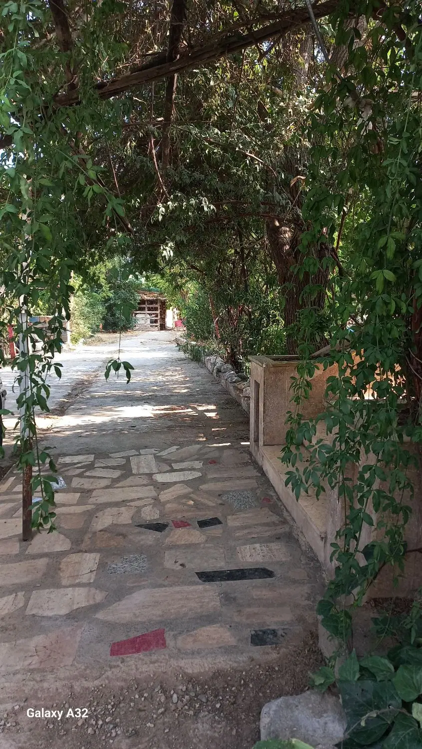 ویلا و زمین گلخانه ای
