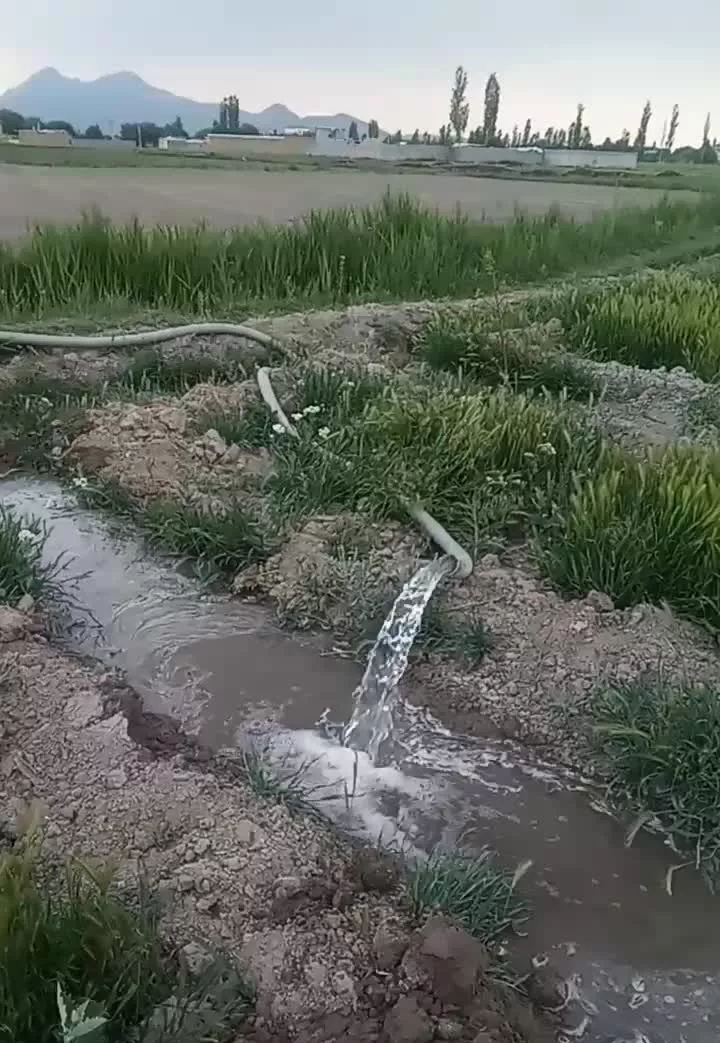 زمین کشاورزی