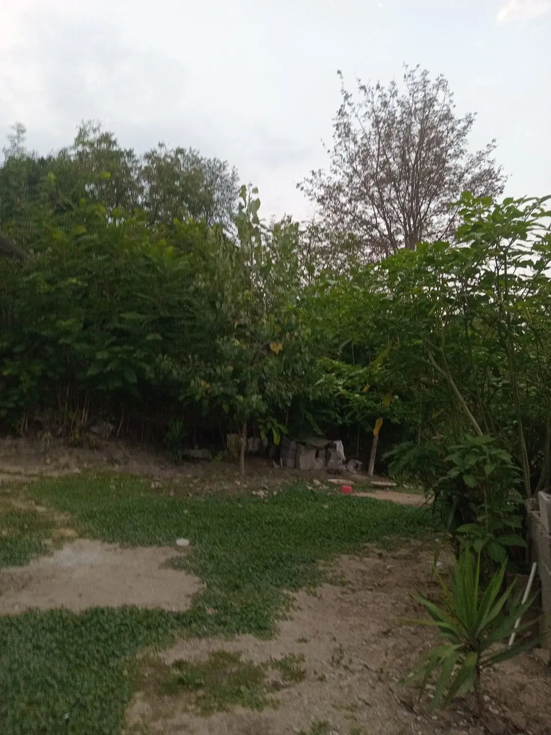 ویلا اجاره ای  کوه پایه