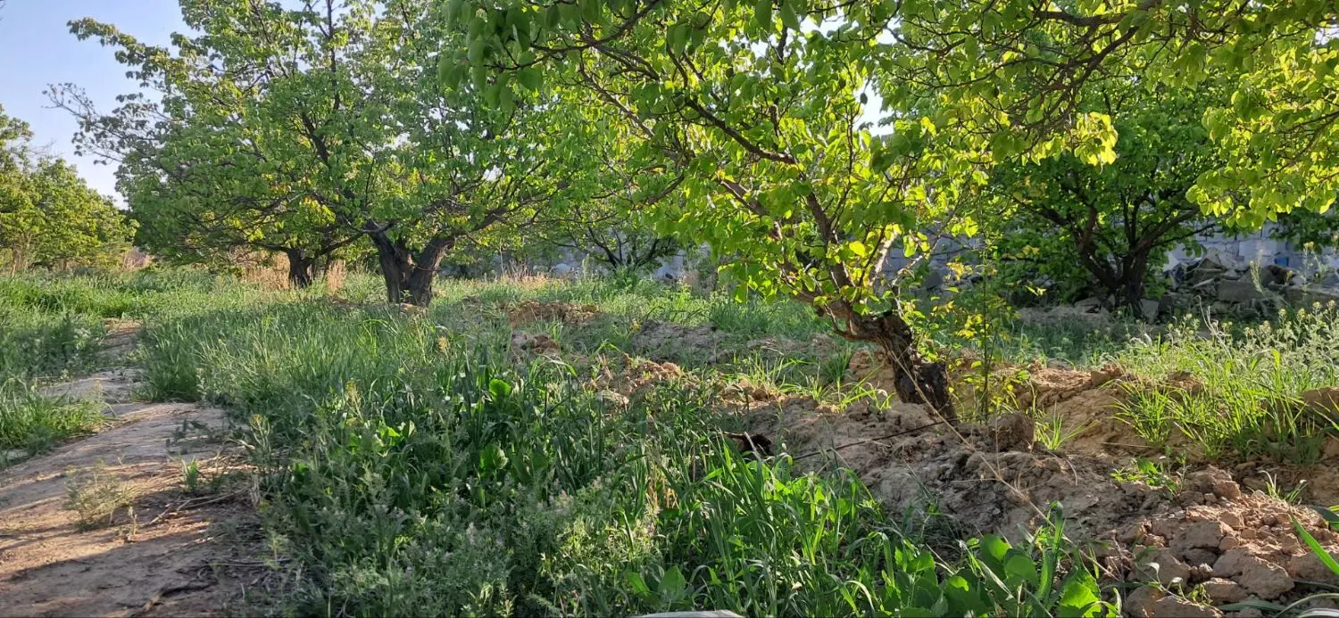 باغچه ۳۰۰ متری