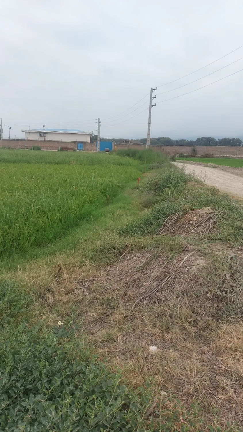 ۶۰۰متر زمین باغی یساقی