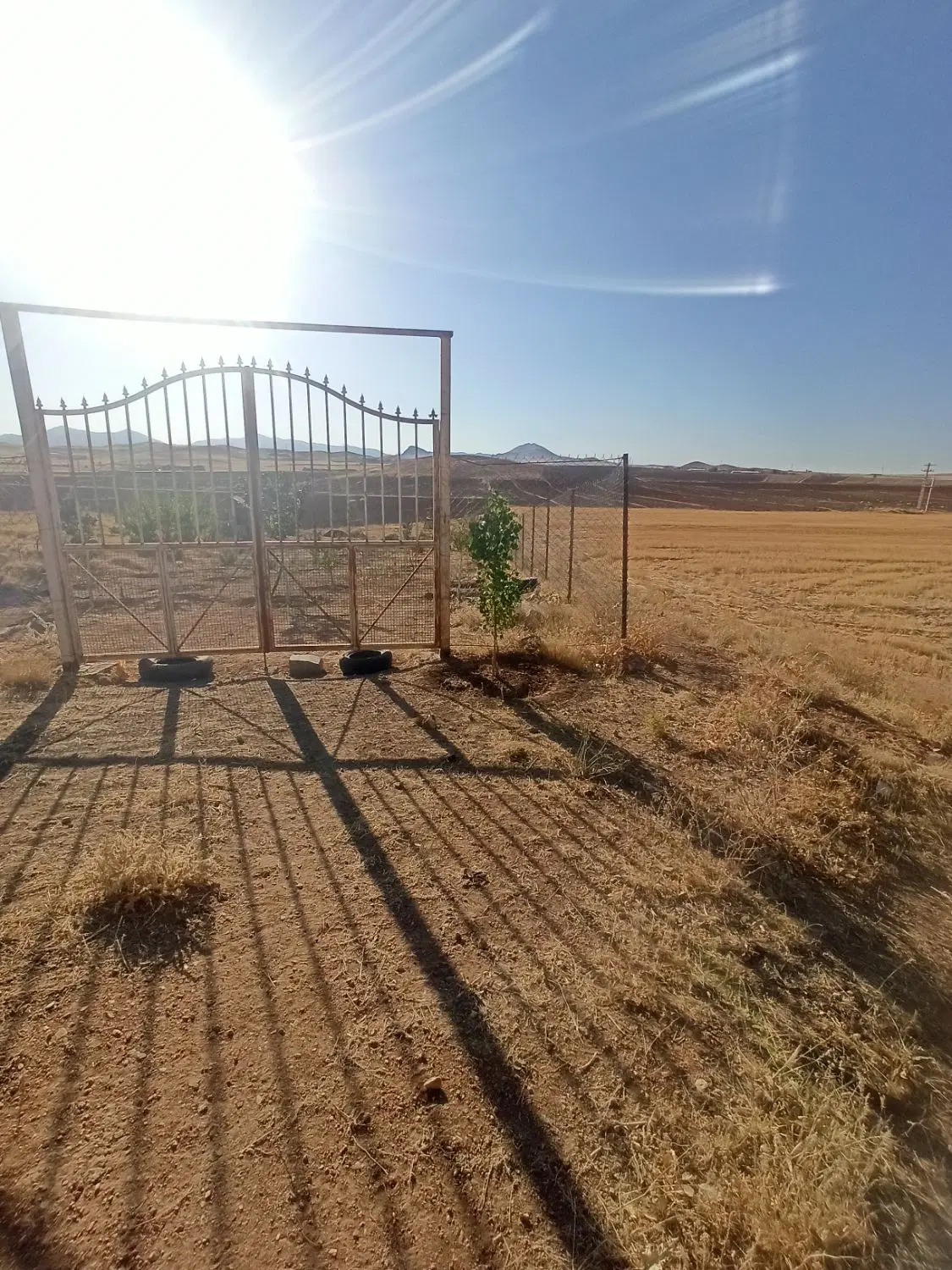 زمین باغی